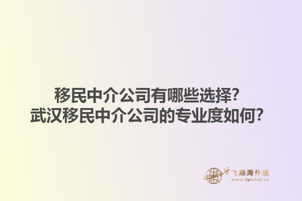 移民中介公司有哪些選擇？武漢移民中介公司的專業(yè)度如何？1.jpg