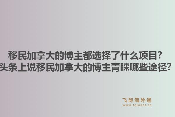 移民加拿大的博主都選擇了什么項目？頭條上說移民加拿大的博主青睞哪些途徑？1.jpg