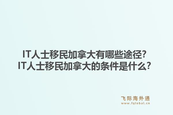 IT人士移民加拿大有哪些途徑？IT人士移民加拿大的條件是什么？