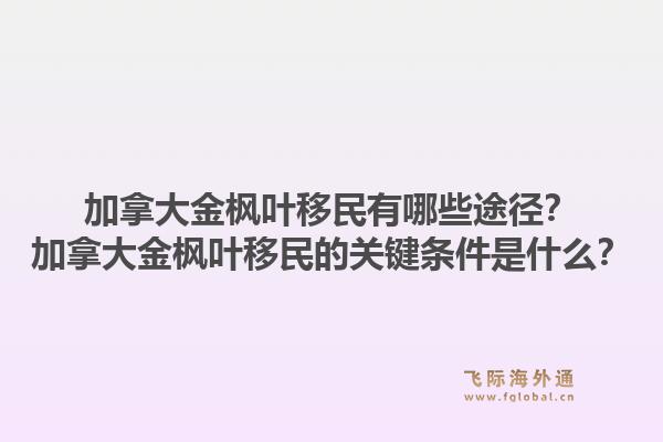 加拿大金楓葉移民有哪些途徑？加拿大金楓葉移民的關(guān)鍵條件是什么？1.jpg