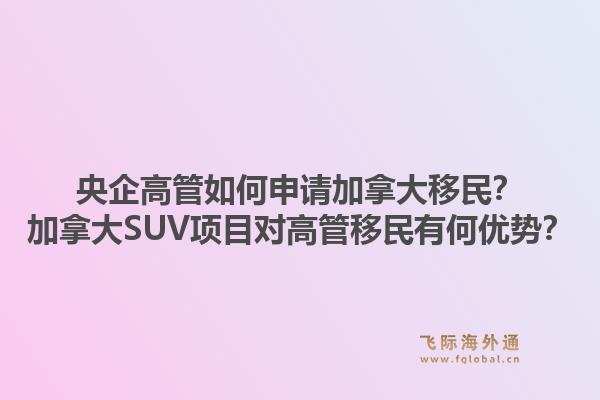 央企高管如何申請(qǐng)加拿大移民？加拿大SUV項(xiàng)目對(duì)高管移民有何優(yōu)勢(shì)？1.jpg