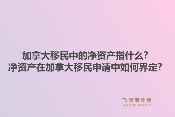 加拿大移民中的凈資產指什么？凈資產在加拿大移民申請中如何界定？1.jpg