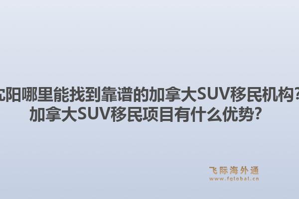 沈陽哪里能找到靠譜的加拿大SUV移民機構(gòu)？加拿大SUV移民項目有什么優(yōu)勢？1.jpg