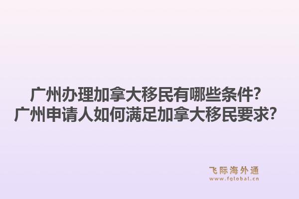 廣州辦理加拿大移民有哪些條件？廣州申請人如何滿足加拿大移民要求？