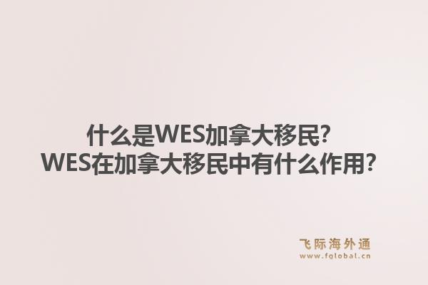 什么是WES加拿大移民？WES在加拿大移民中有什么作用？1.jpg