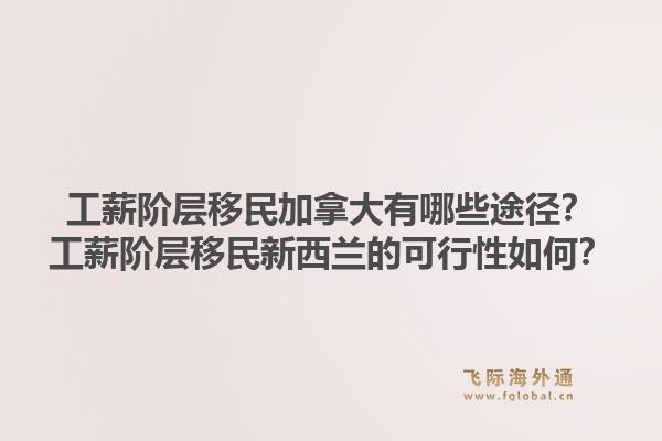 工薪階層移民加拿大有哪些途徑？工薪階層移民新西蘭的可行性如何？