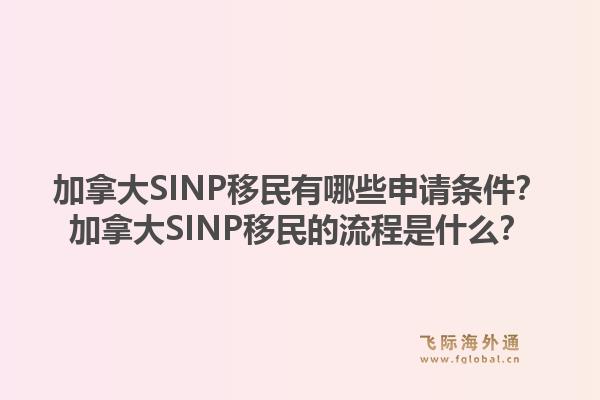 加拿大SINP移民有哪些申請條件？加拿大SINP移民的流程是什么？